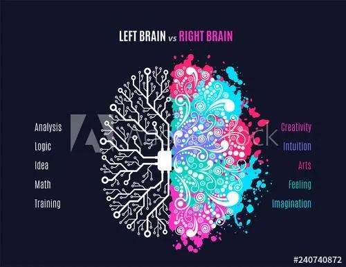 brain hemispheres.jpg