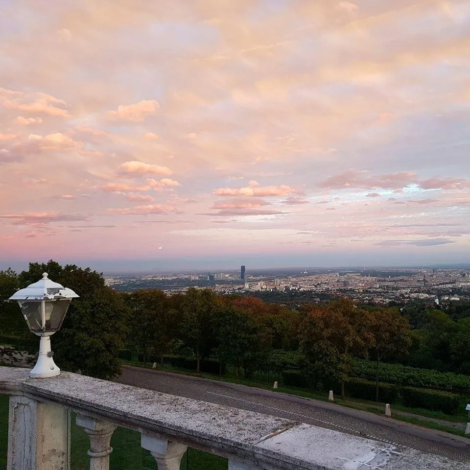 weitblick cobenzl.jpg