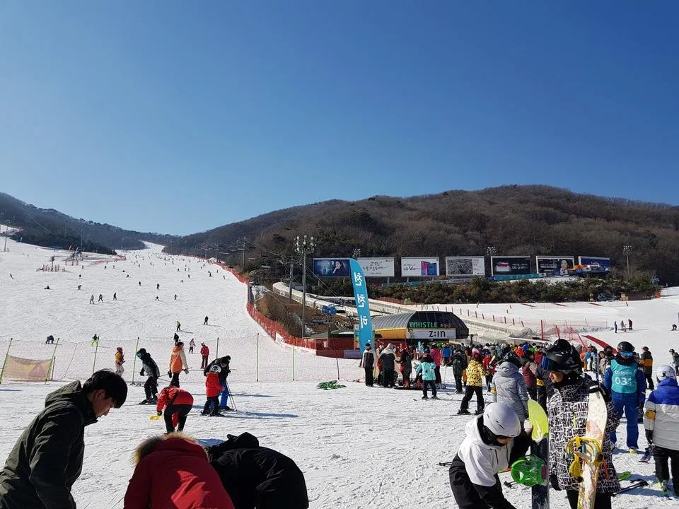 20190126_133039.jpg