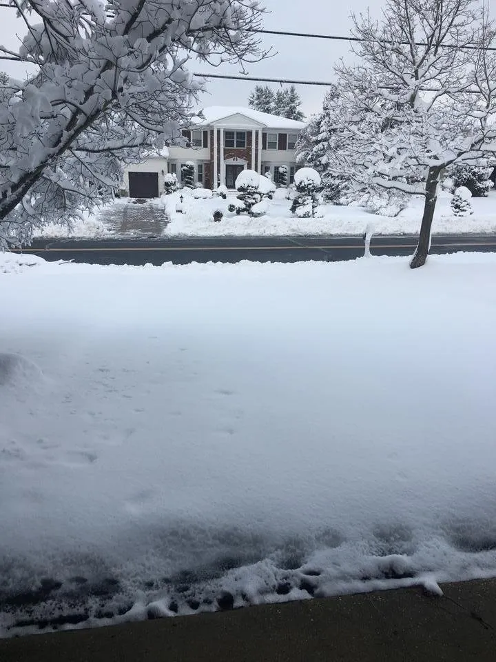 snow.jpg