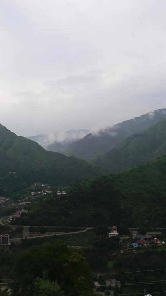 20190726_094733.jpg