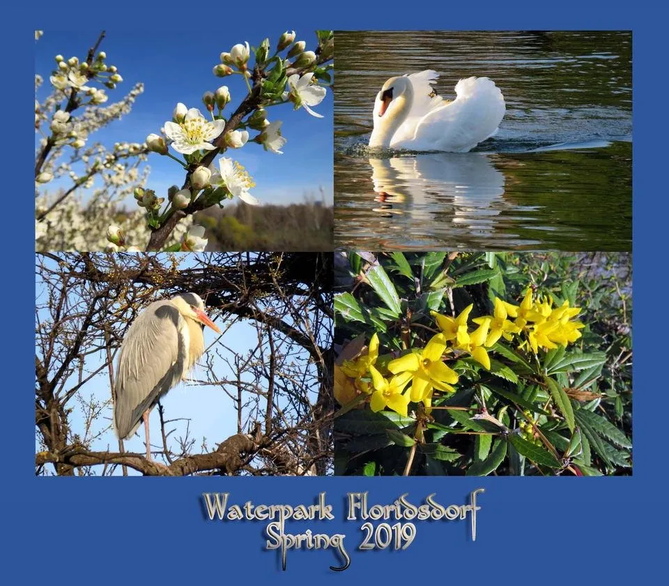 1 Waterpark Floridsdorf - 2200web.jpg