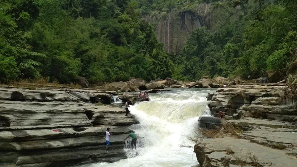 nature.jpg