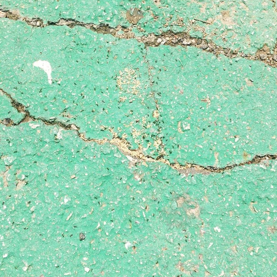 1530715646630.jpg