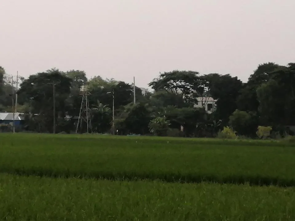 IMG_20191003_152745.jpg