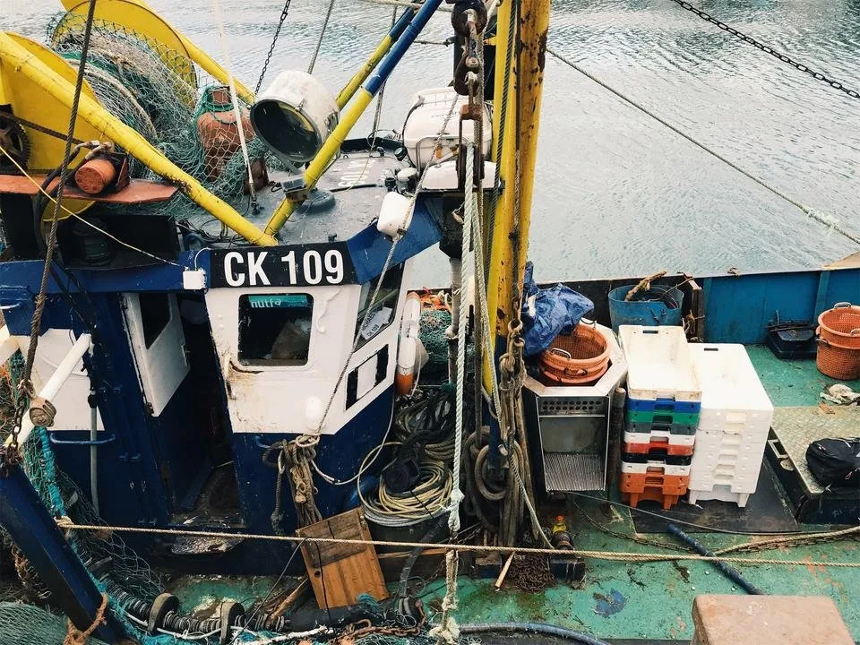 JPEG image-8A0B30A274C6-4.jpeg