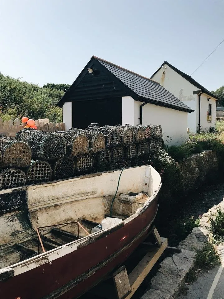 JPEG image-ECE5B2C3131C-9.jpeg