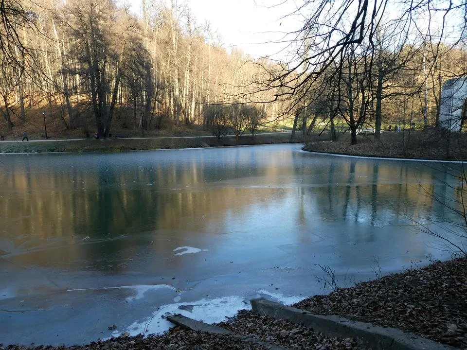 P1010877.JPG