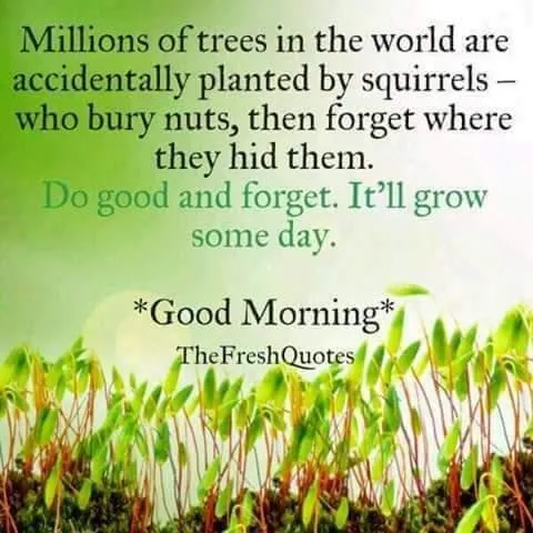 FB_IMG_1527800842829.jpg