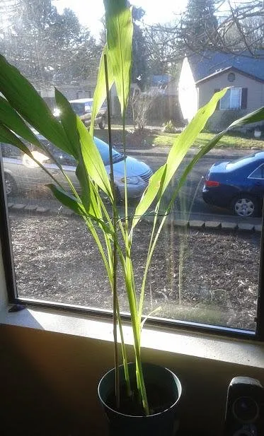 20190129_145825.jpg