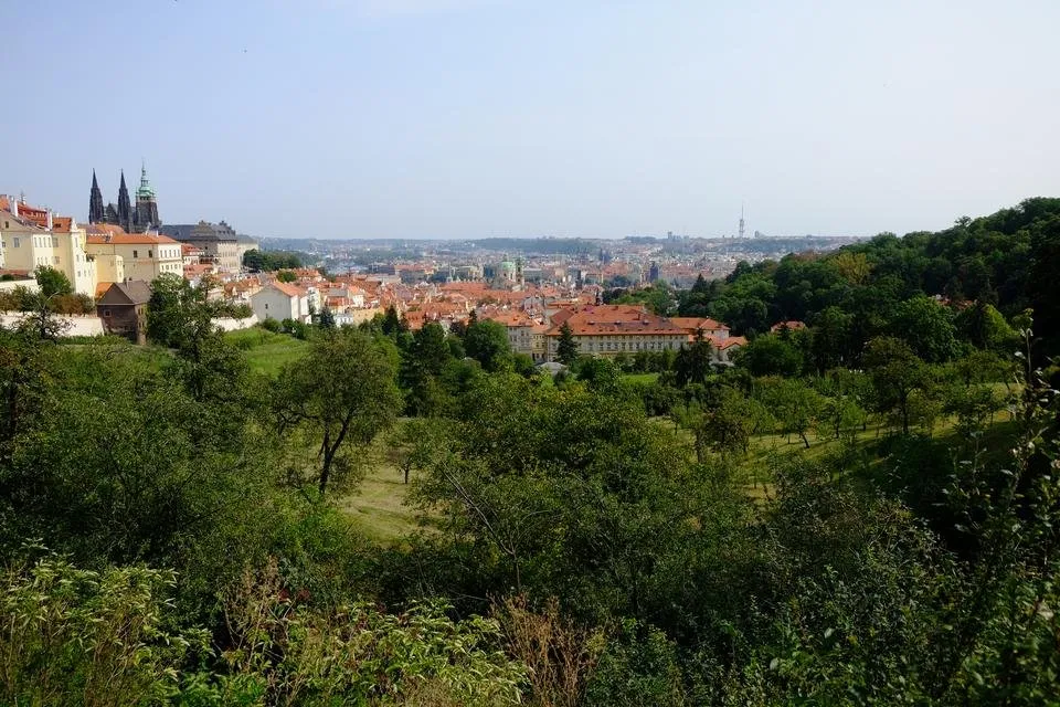 DSCF1140.JPG