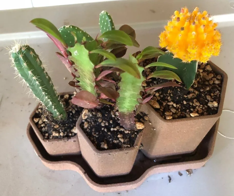 3DGardenPot4.jpg