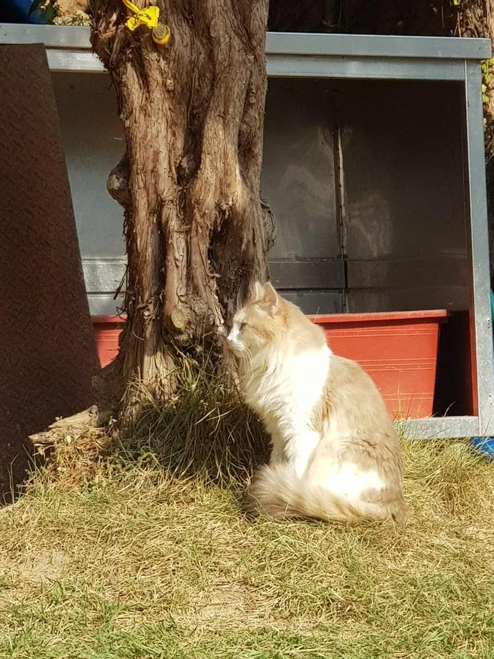 20191027_141925.jpg