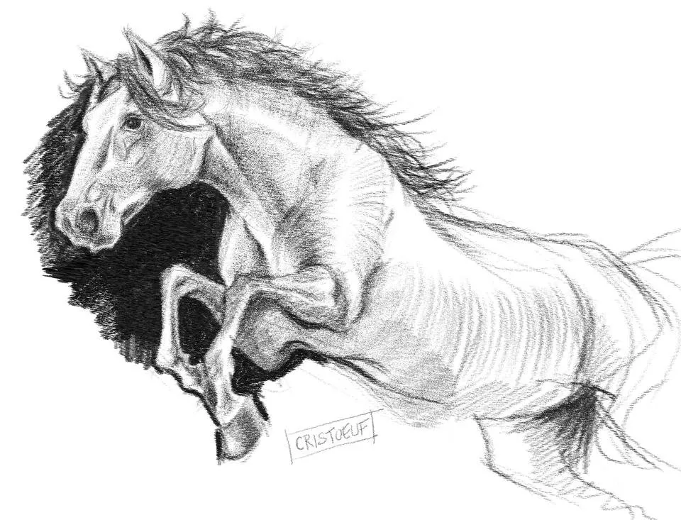 Pencil_horse_Cristoeuf.jpg