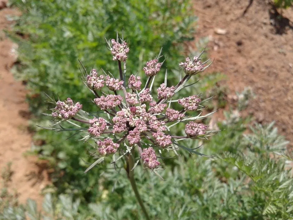 20190917_124247.jpg