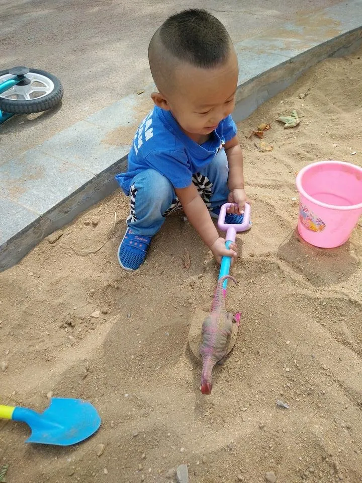 IMG20180915112441.jpg