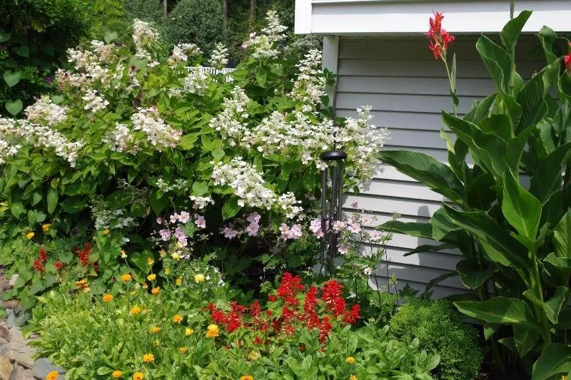 a butterfly garden f.jpg