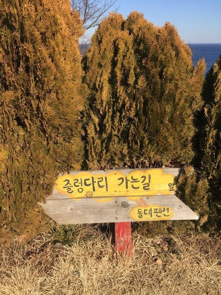 KakaoTalk_20190207_110313911.jpg