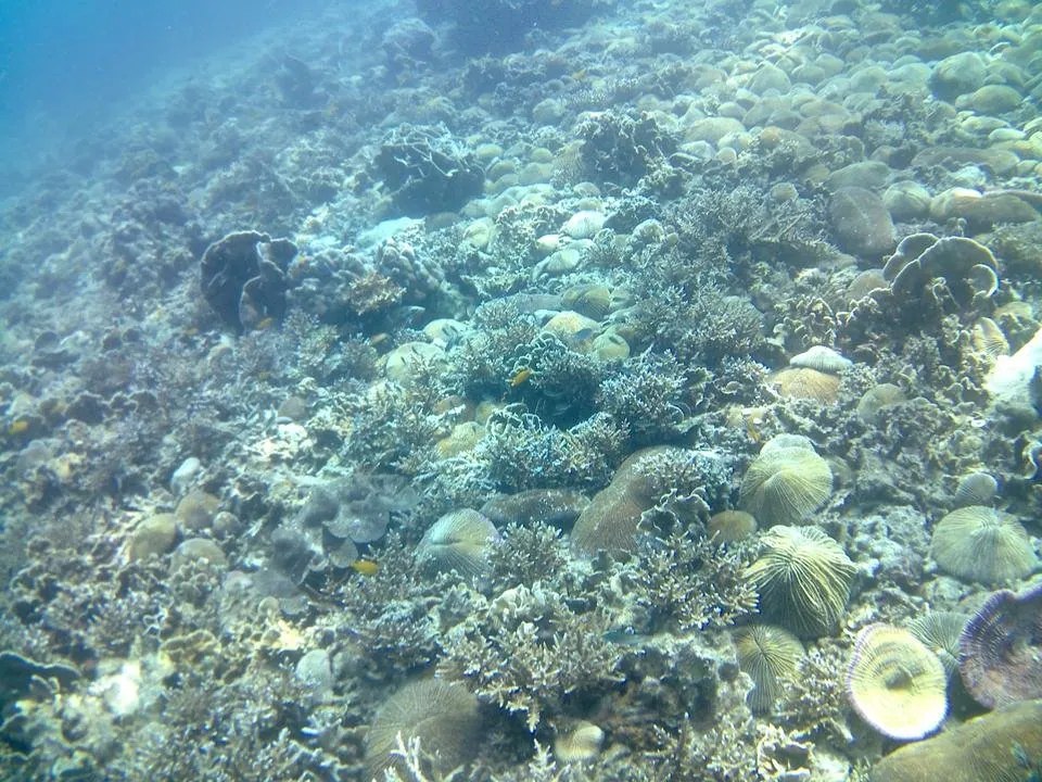 20170101_005207A.jpg