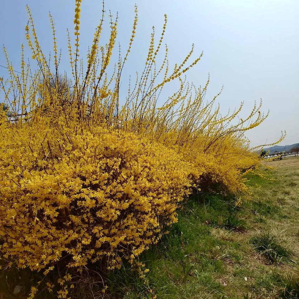 20190406_115238_HDR.jpg