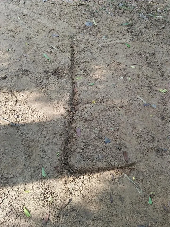 IMG20180707081930.jpg