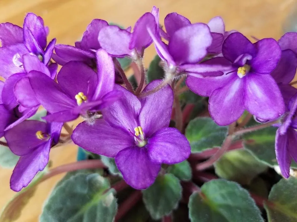 20181202_110124.jpg