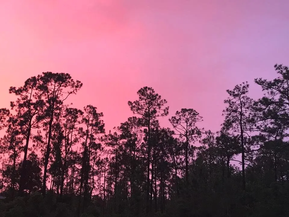 Cotton Candy Skies 2.JPG