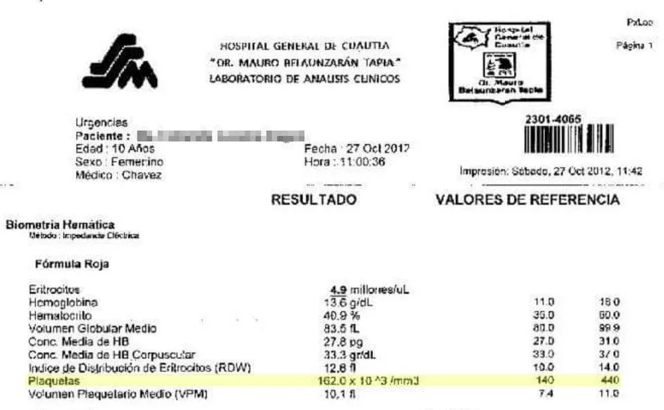 dengue 5.jpg