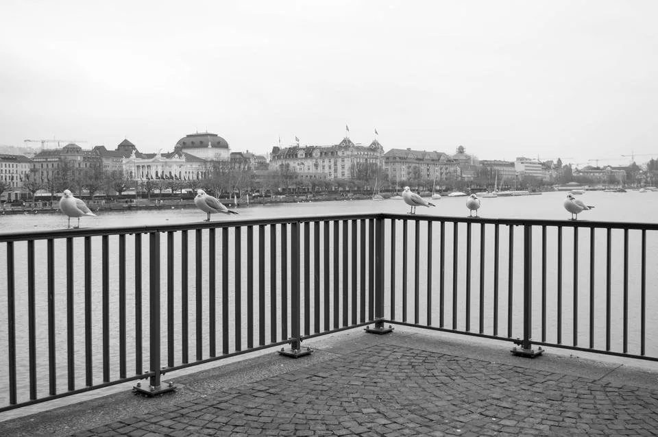DSC_0058.jpg