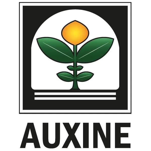 AUXINE-FB-IMAGEPROFIL.jpg