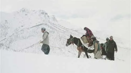 m1.JPG
