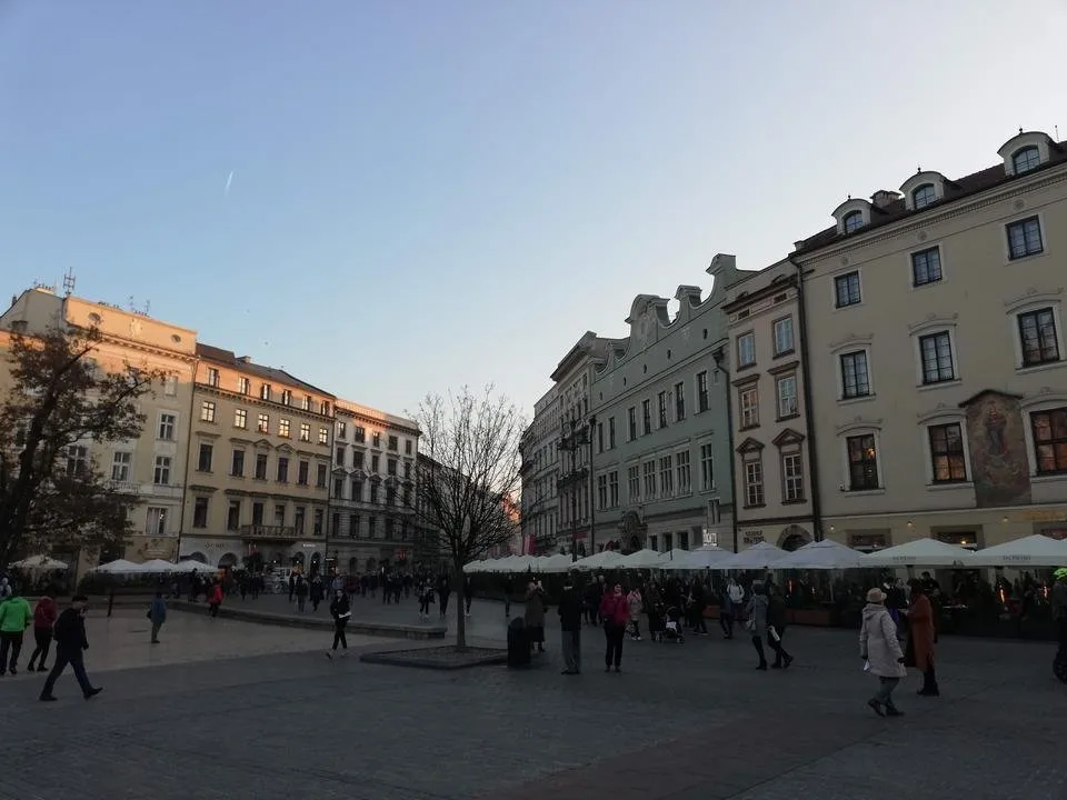 IMG_20181110_152437.jpg
