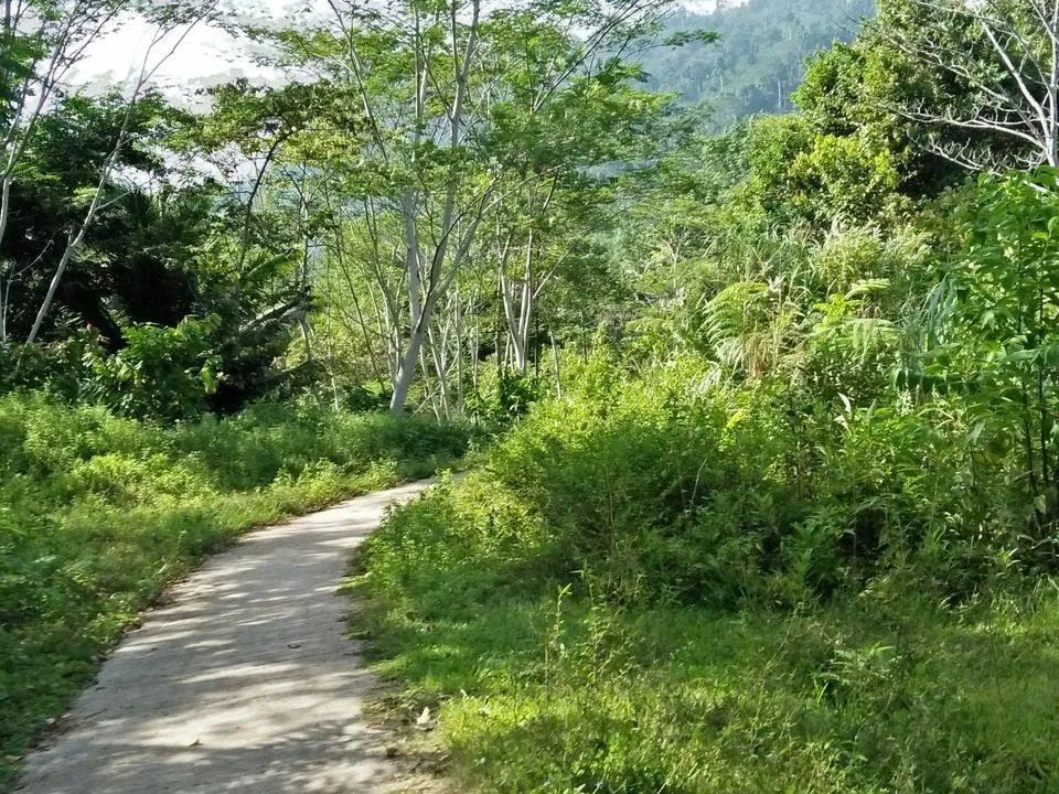 IMG20180718084101.jpg