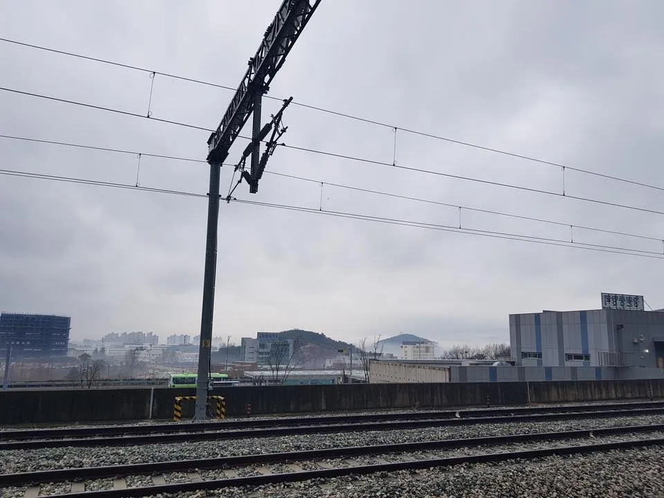 20190203_103831.jpg
