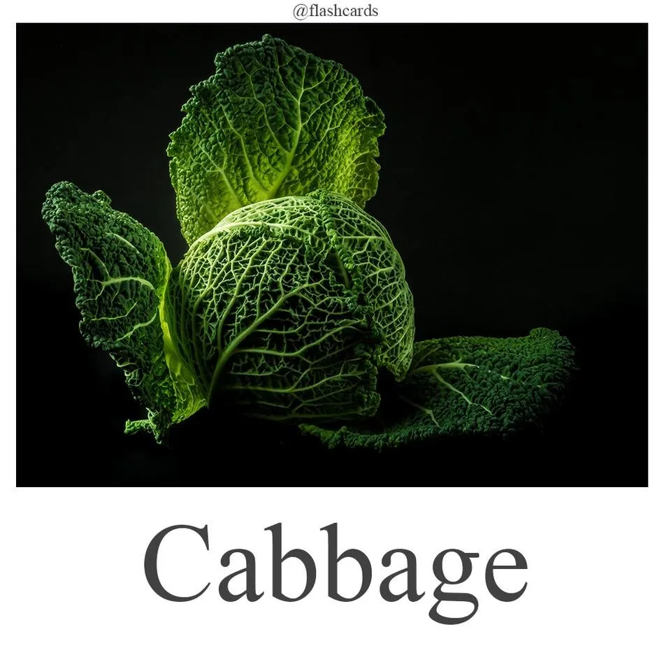 Cabbage.jpg