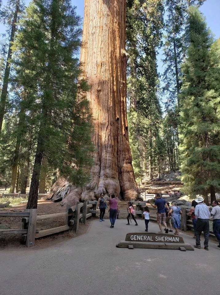General Sherman.jpg
