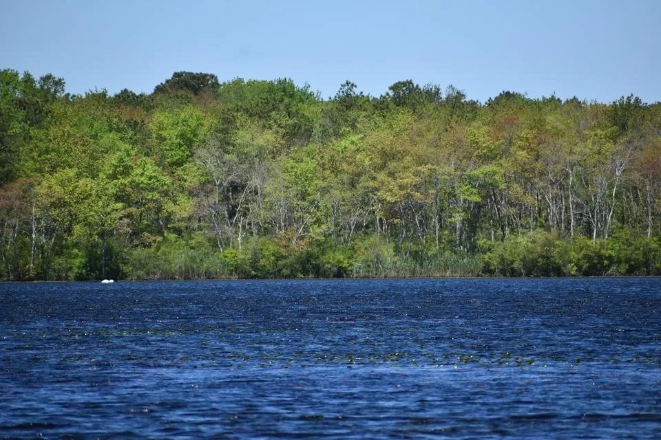 DSC_0274.JPG