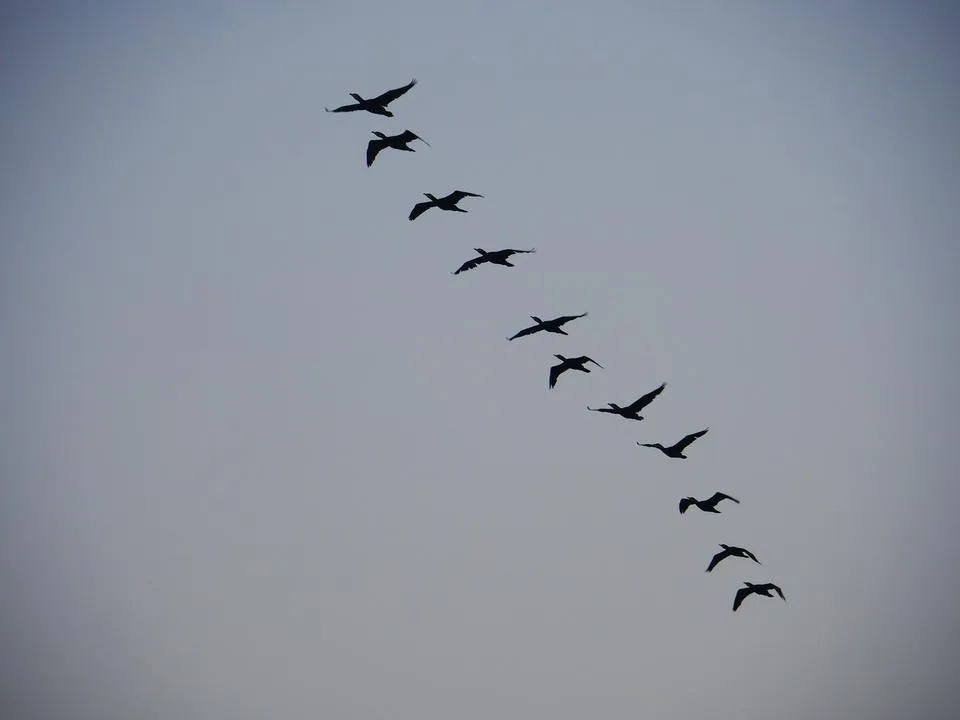 P1000326.jpg