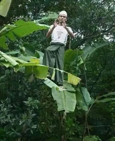 received_454711165019521.jpeg