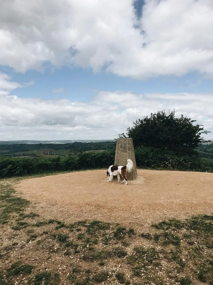 JPEG image-6DCE7F4411E8-8.jpeg