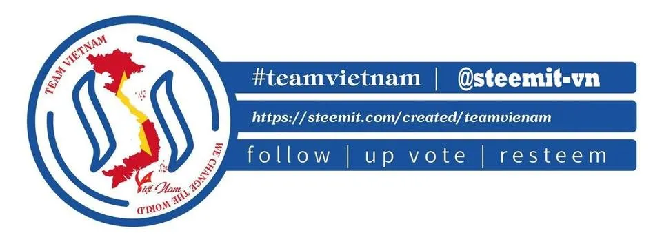 steemit-vn.jpg