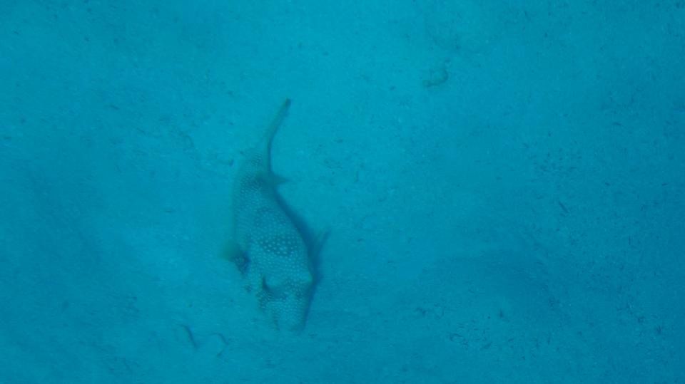 DSC04393.JPG