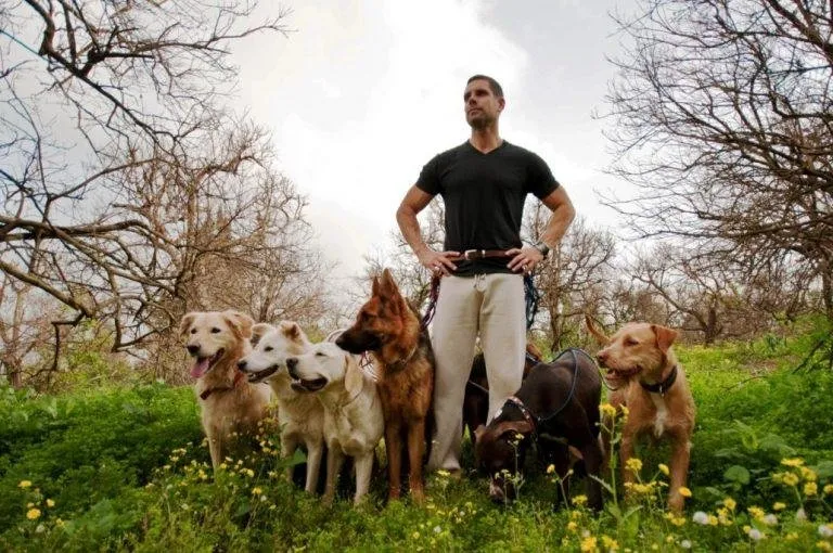 becomingadogtrainer-1030x684-768x510.jpg
