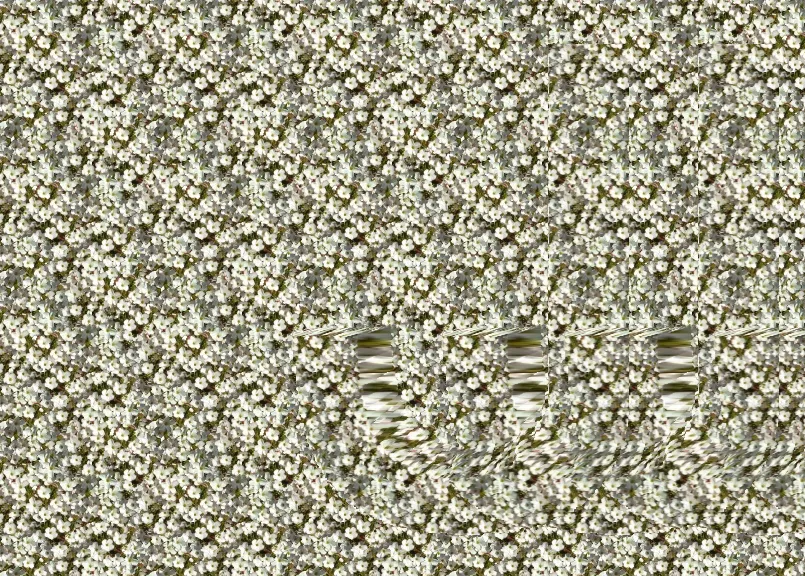 ステレオグラム0626.png