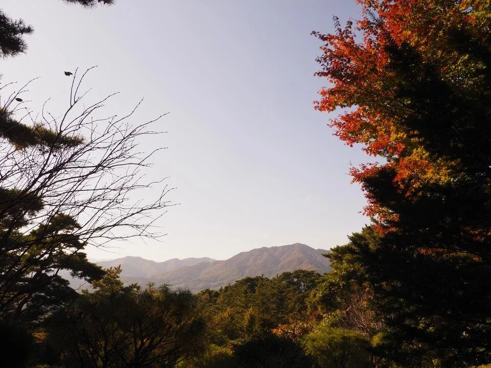 _A210262.JPG