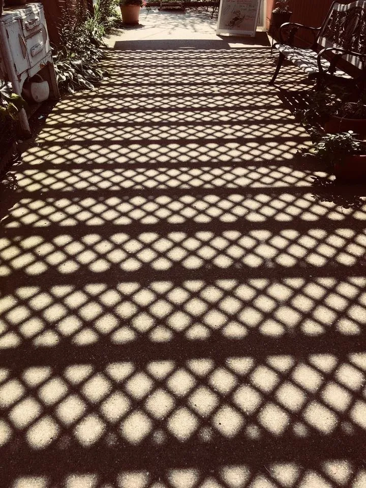 trellis.jpg