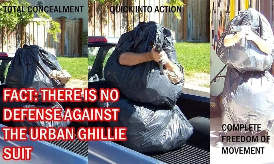 Verg2.jpg