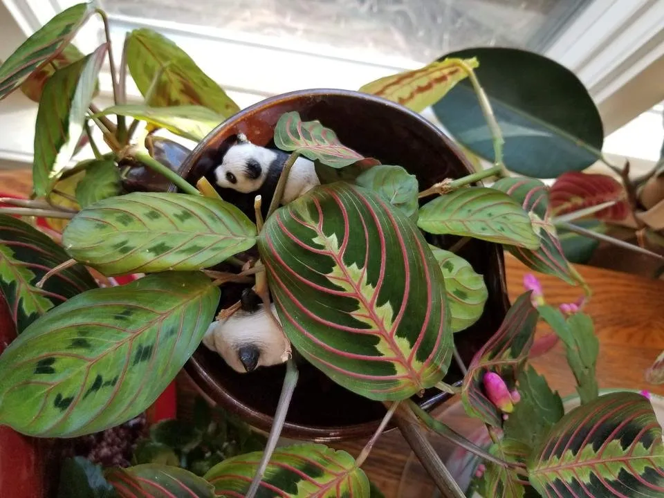 20181202_105815.jpg