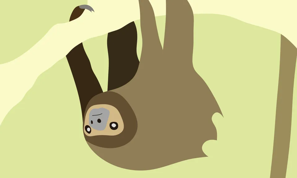 slothbannermini.png