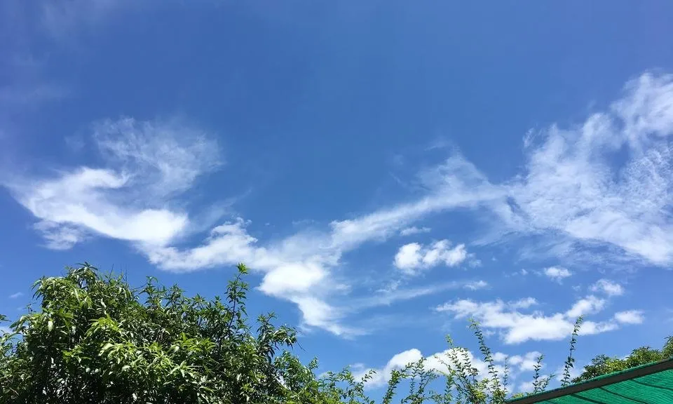 C8708CFE-2419-4150-914A-DD771BC5E92A.jpeg